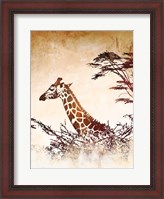 Framed Safari Giraffe I