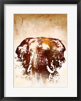 Framed Safari Elephant