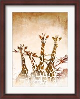 Framed Safari Giraffe II