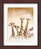Framed Safari Giraffe II
