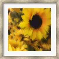 Framed Sunflower