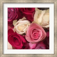 Framed Pink Roses
