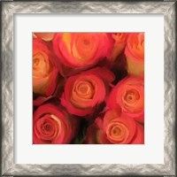 Framed Peach Roses