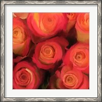 Framed Peach Roses