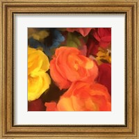 Framed Rose Blooms