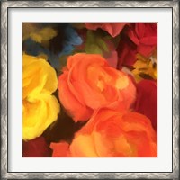 Framed Rose Blooms