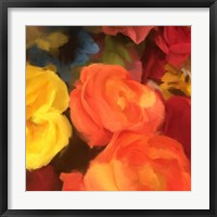 Framed Rose Blooms