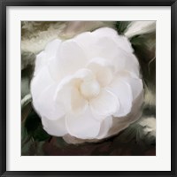 Framed White Flower