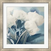 Framed 'White Roses I' border=