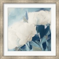 Framed White Roses II