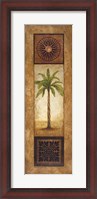 Framed Sago Palm