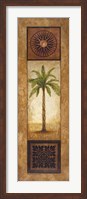 Framed Sago Palm