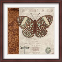Framed Butterfly on Display I