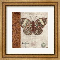 Framed 'Butterfly on Display I' border=