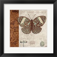 Butterfly on Display I Framed Print
