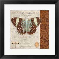 Framed Butterfly on Display II