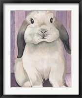 Framed Bunny I