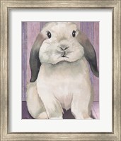 Framed Bunny I