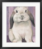 Bunny I Framed Print
