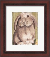 Framed 'Bunny II' border=