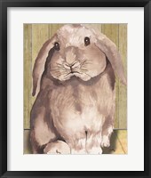 Framed Bunny II