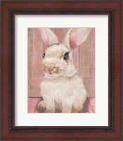 Framed Bunny III