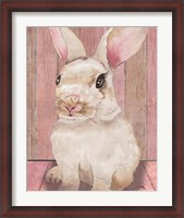 Framed Bunny III