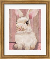 Framed 'Bunny III' border=