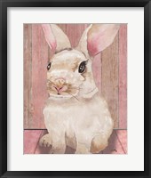 Bunny III Framed Print
