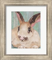 Framed Bunny IV
