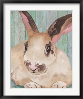 Framed Bunny IV