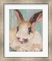 Framed 'Bunny IV' border=