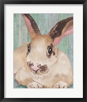 Bunny IV Framed Print