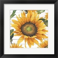 Framed Happy Sunflower I