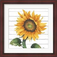 Framed Happy Sunflower II