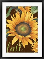 Framed Sunflowers in the Fall