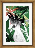 Framed Hidden Cockatoo