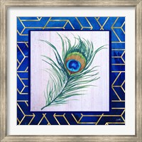 Framed Peacock Feather I