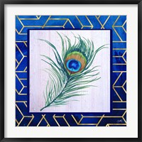 Framed Peacock Feather I