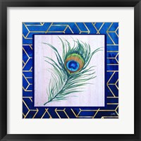 Peacock Feather I Framed Print