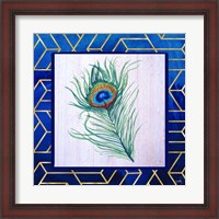 Framed Peacock Feather II