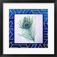 Peacock Feather II Framed Print