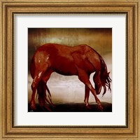 Framed Red Horse I