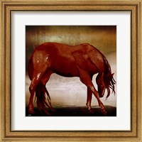 Framed Red Horse I
