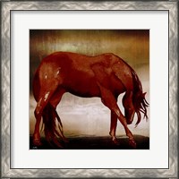 Framed Red Horse I