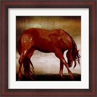 Framed 'Red Horse I' border=