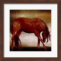 Framed Red Horse I