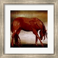 Framed Red Horse I