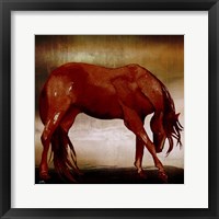 Red Horse I Framed Print