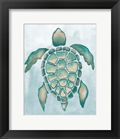 Framed Aquatic Turtle I